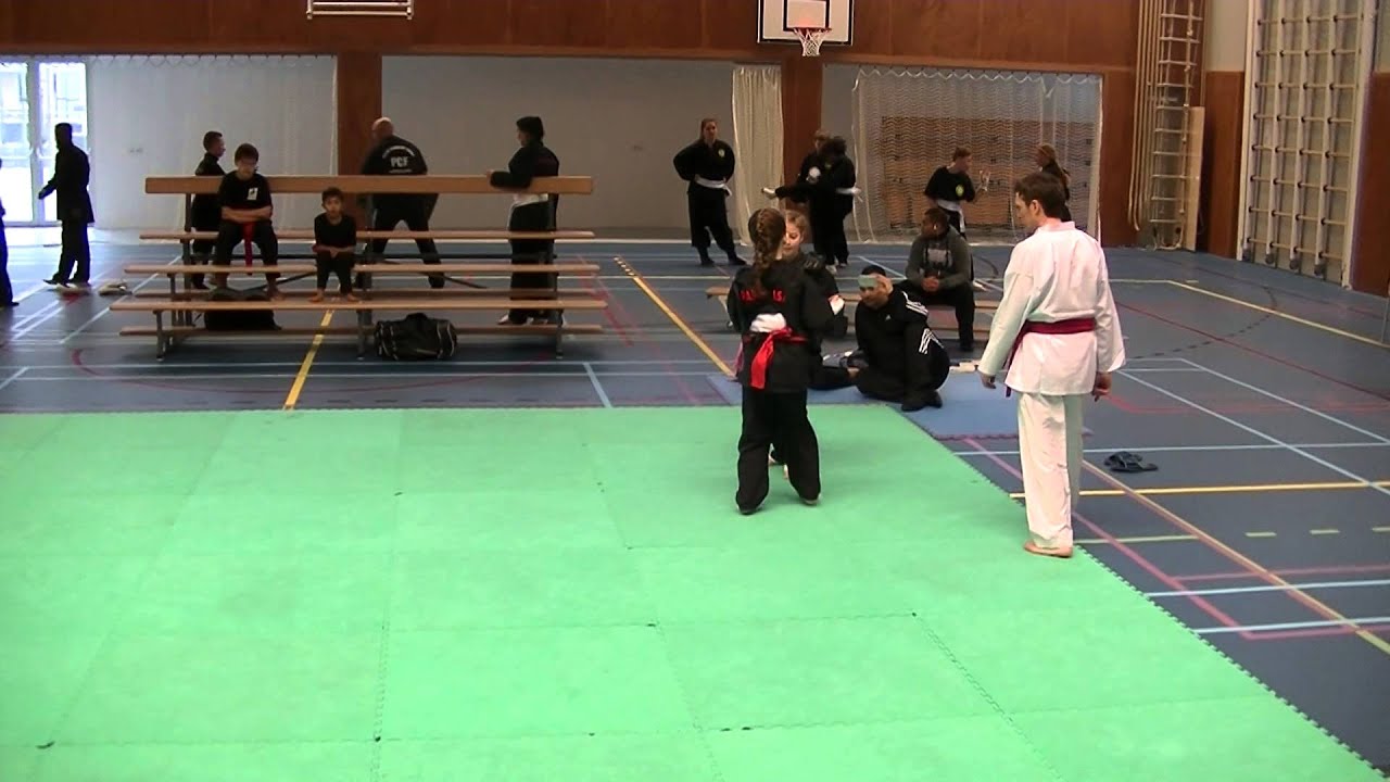 Shidokan - HD Wallpaper 