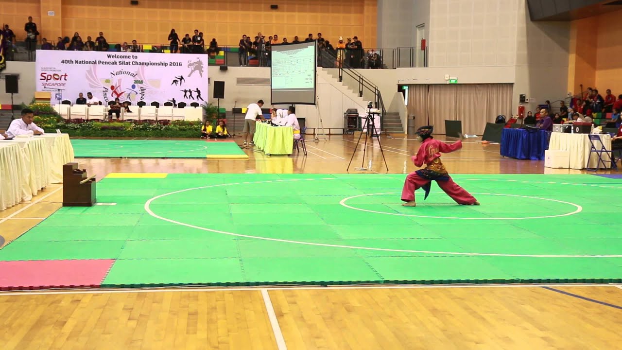 Kung Fu - HD Wallpaper 