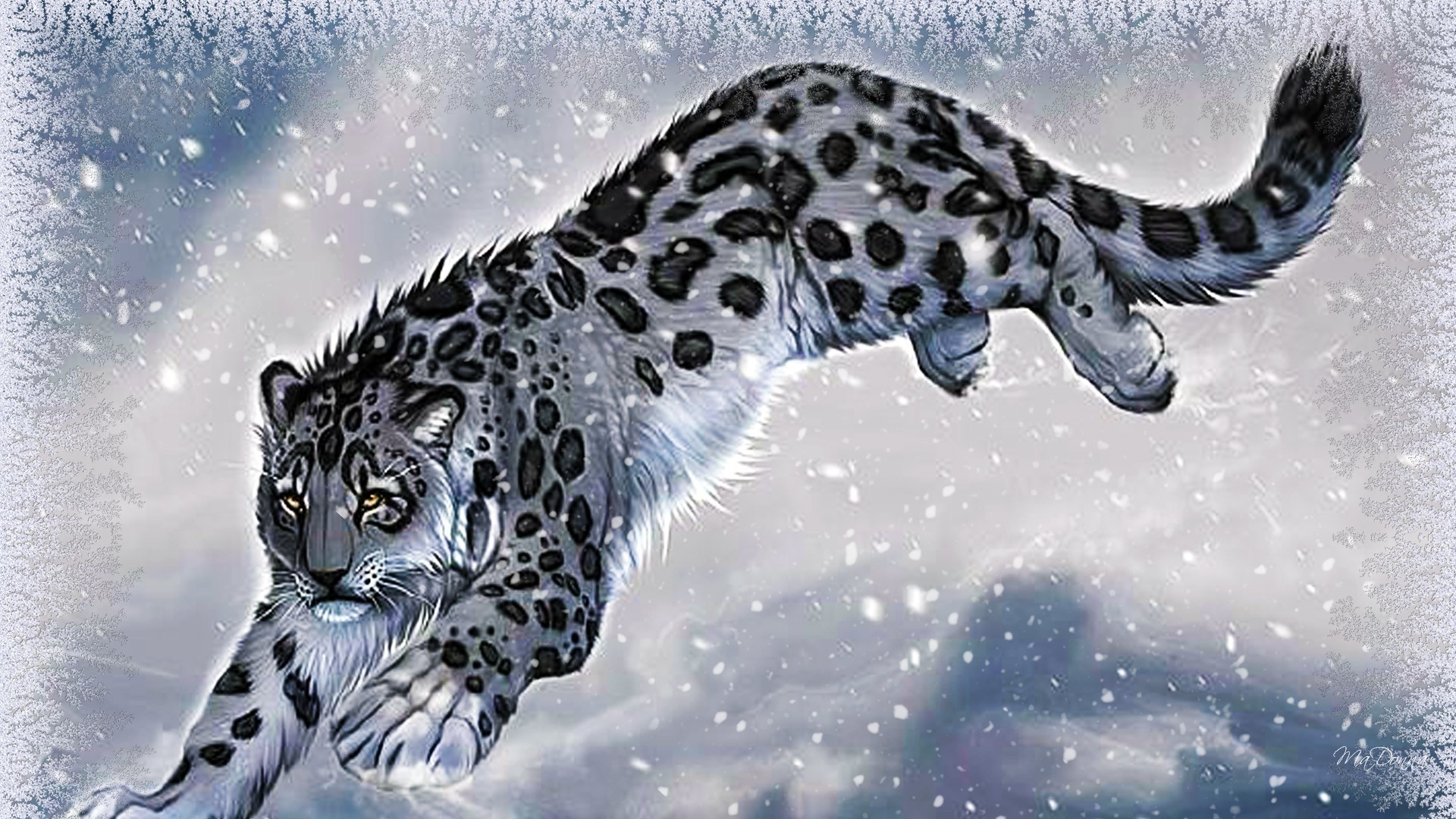 Amazing Animal Snow Leopard High Resolution Wallpaper - Snow Leopard - HD Wallpaper 