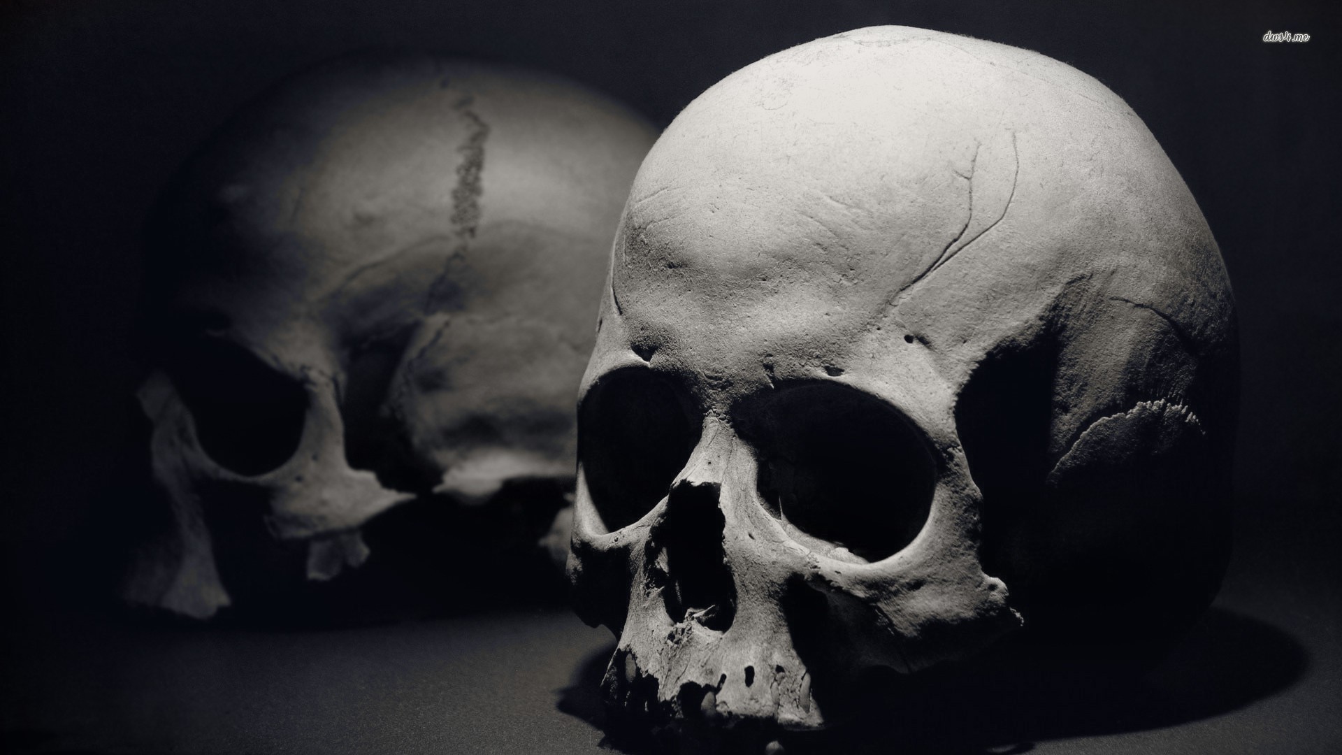 Human Skull Photography Black And White - HD Wallpaper 
