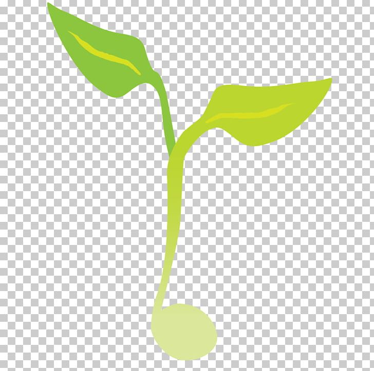 Gezond Png, Clipart, Branch, Computer, Computer Wallpaper, - Bola Dragon Ball Z Png - HD Wallpaper 