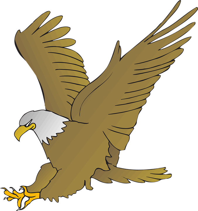 Thumb Image - Cartoon Eagle Drawing - HD Wallpaper 