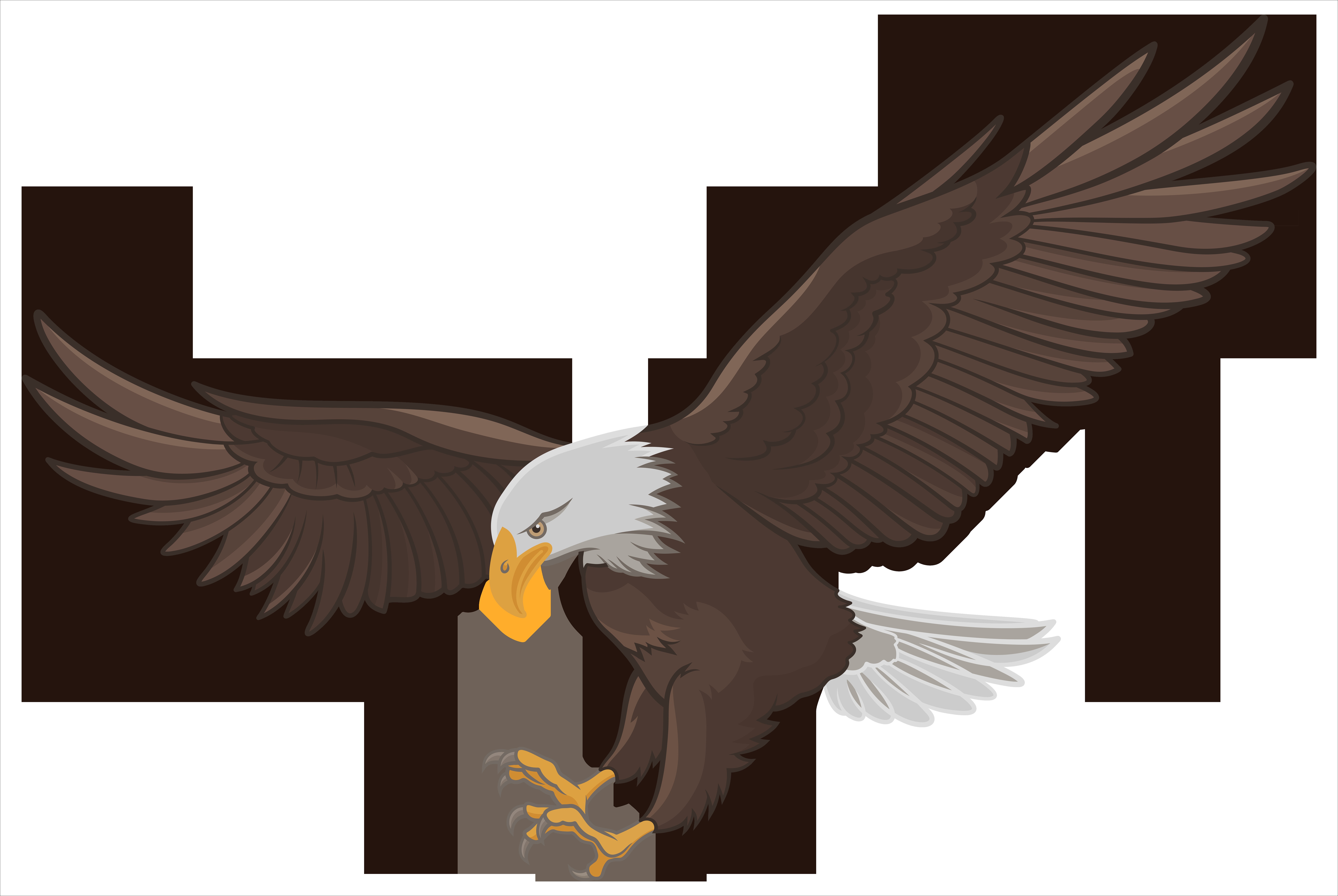 Golden Eagle Clipart Elang - Bald Eagle - HD Wallpaper 