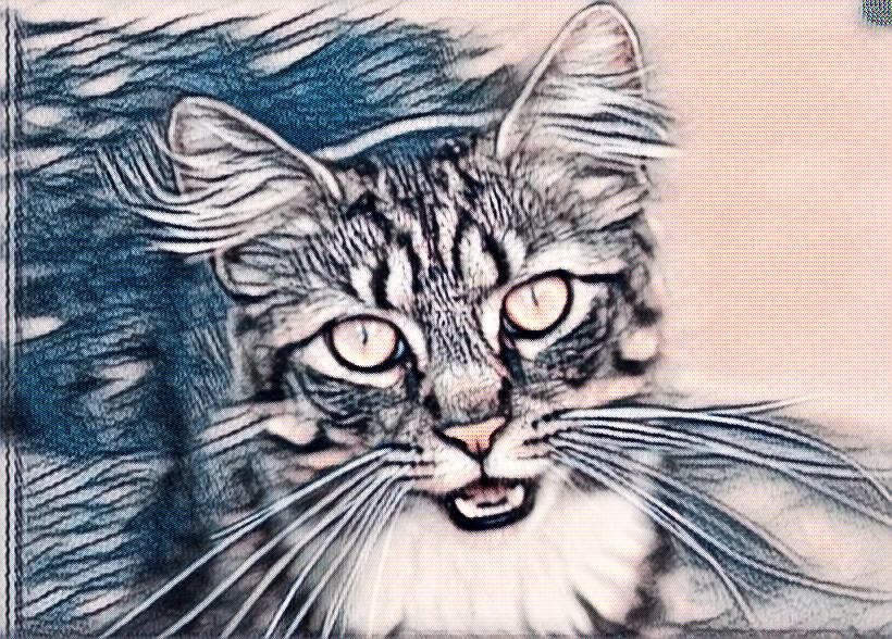 Edit Tato - HD Wallpaper 