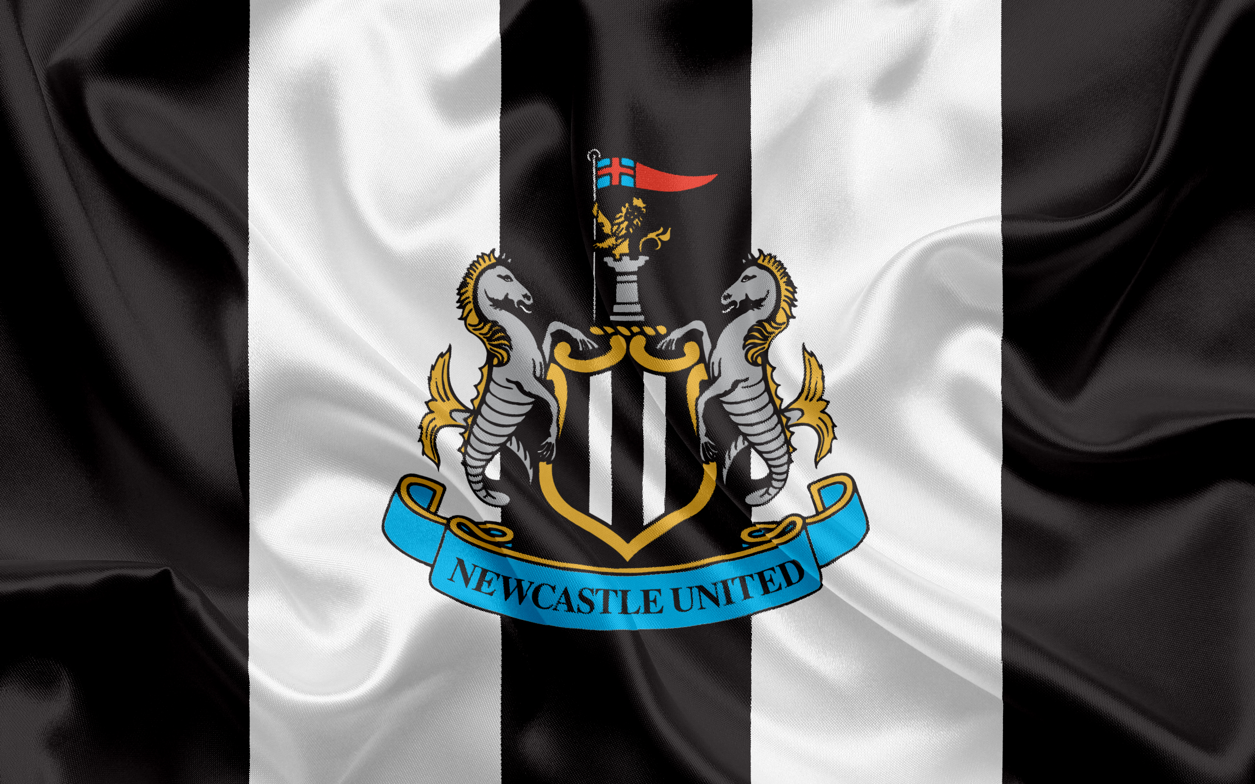Newcastle United, Football Club, Premier League, Football, - Newcastle United Badge Landscape - HD Wallpaper 
