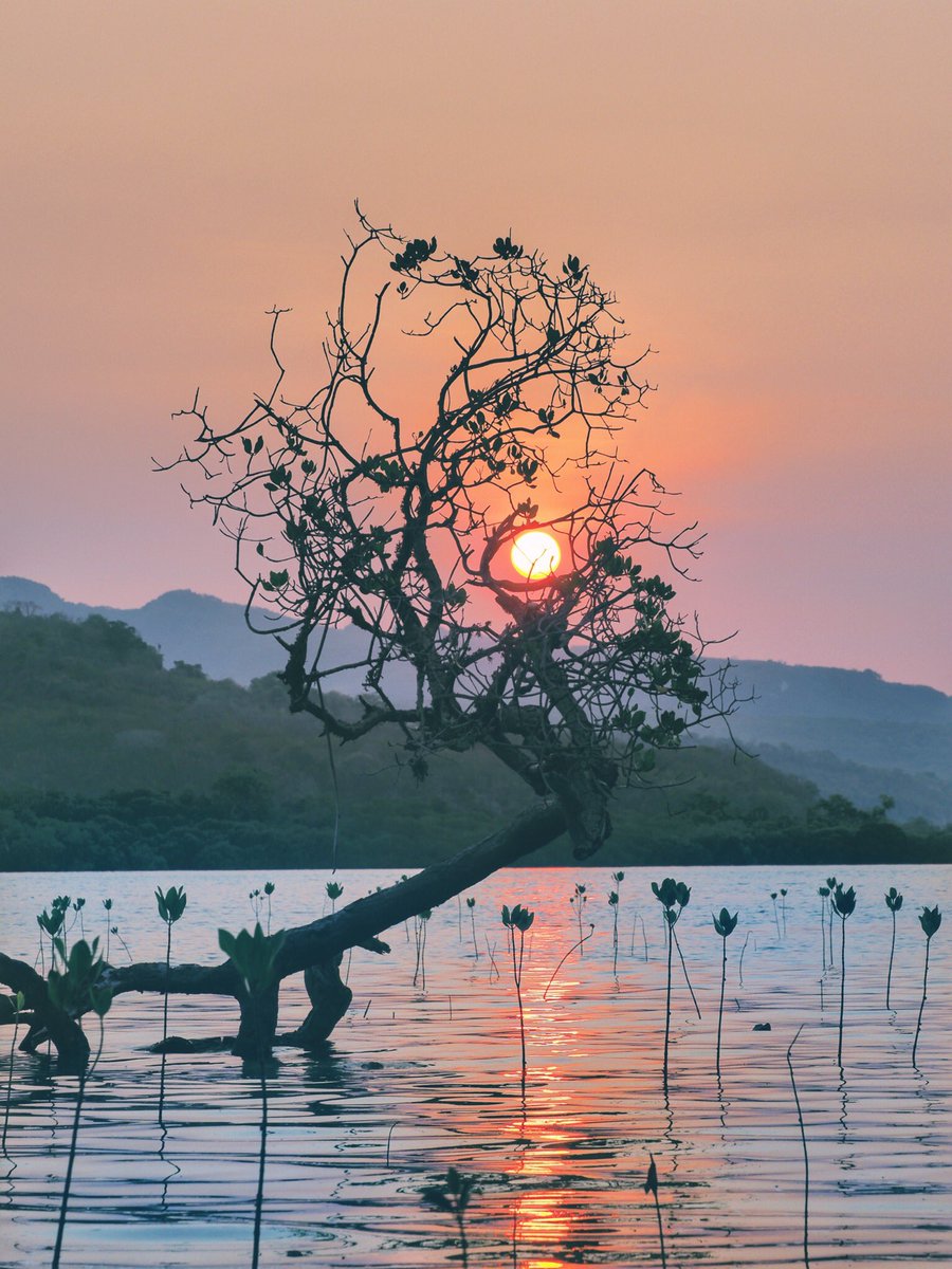 Sunset - HD Wallpaper 