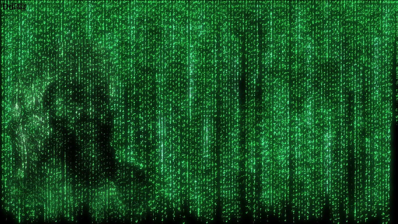 Grass - HD Wallpaper 