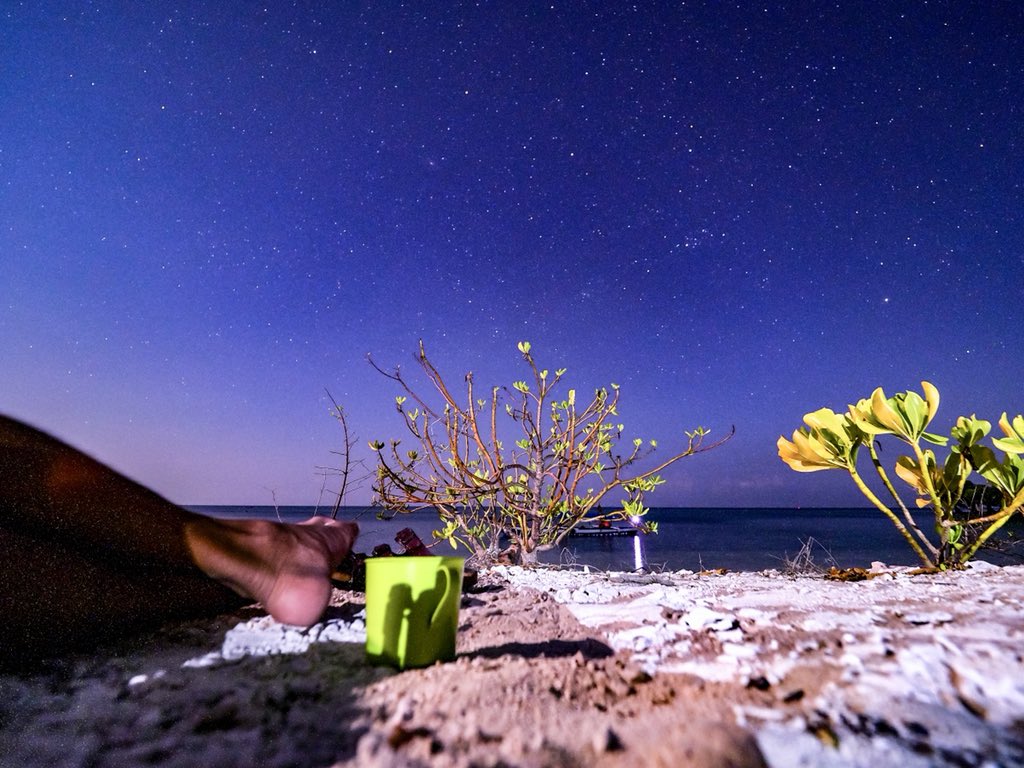 Floral Design - HD Wallpaper 