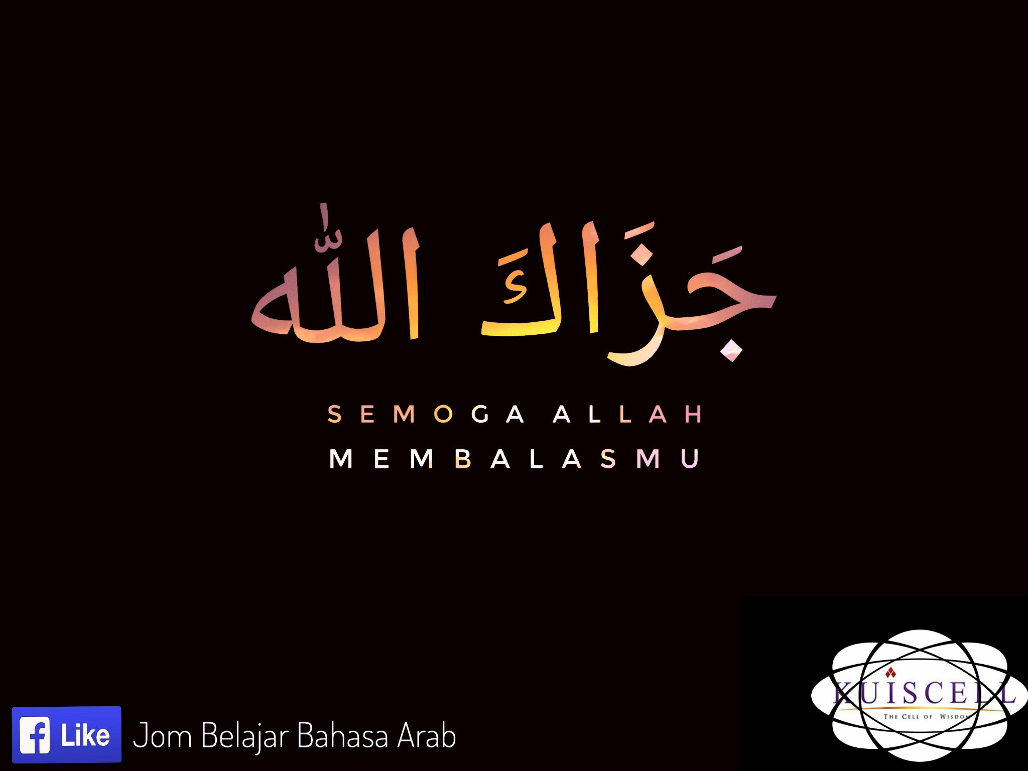 Calligraphy - HD Wallpaper 