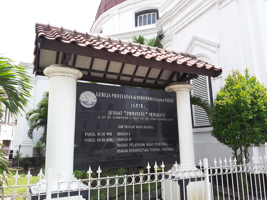 Palm Tree - HD Wallpaper 