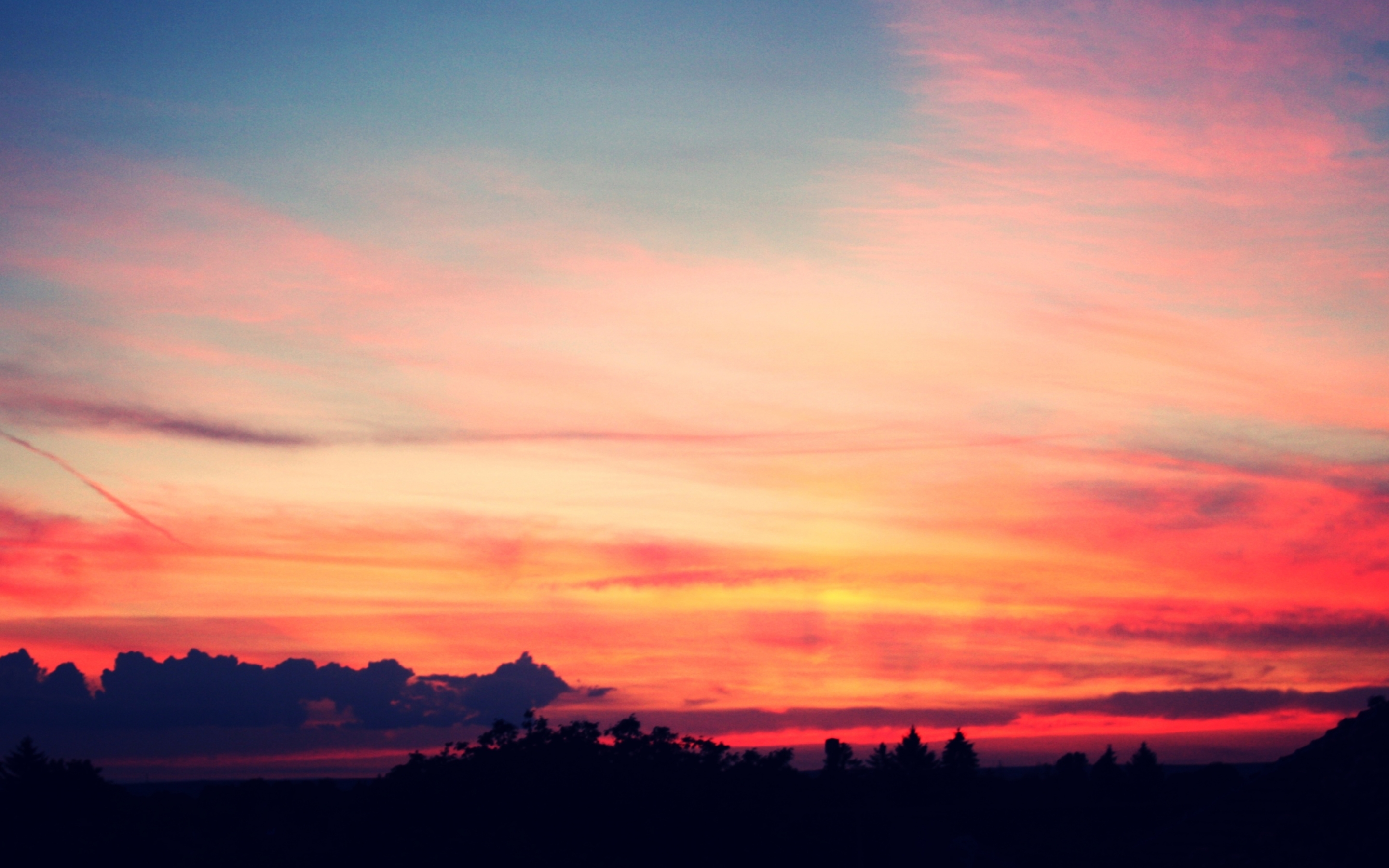 Wallpaper - HD Wallpaper 