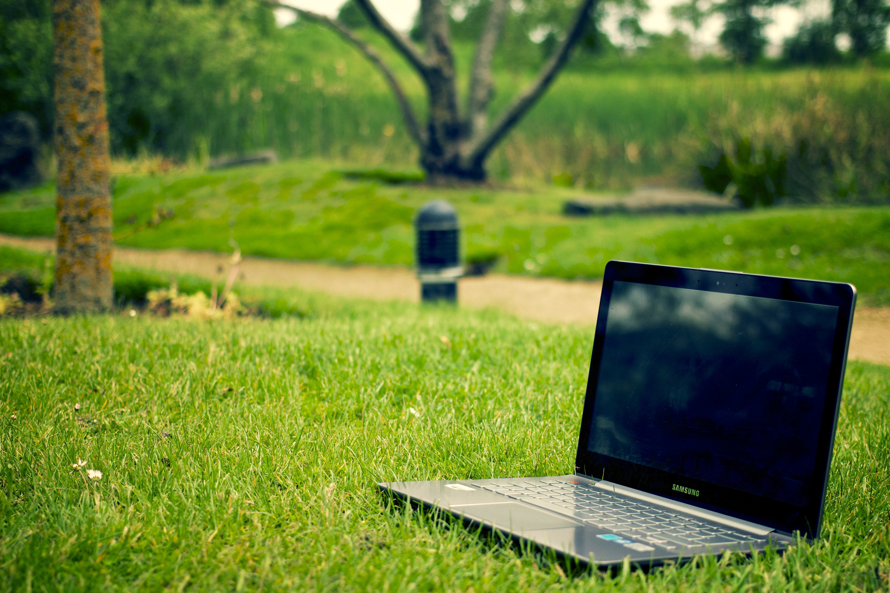 Laptop On Grass - HD Wallpaper 