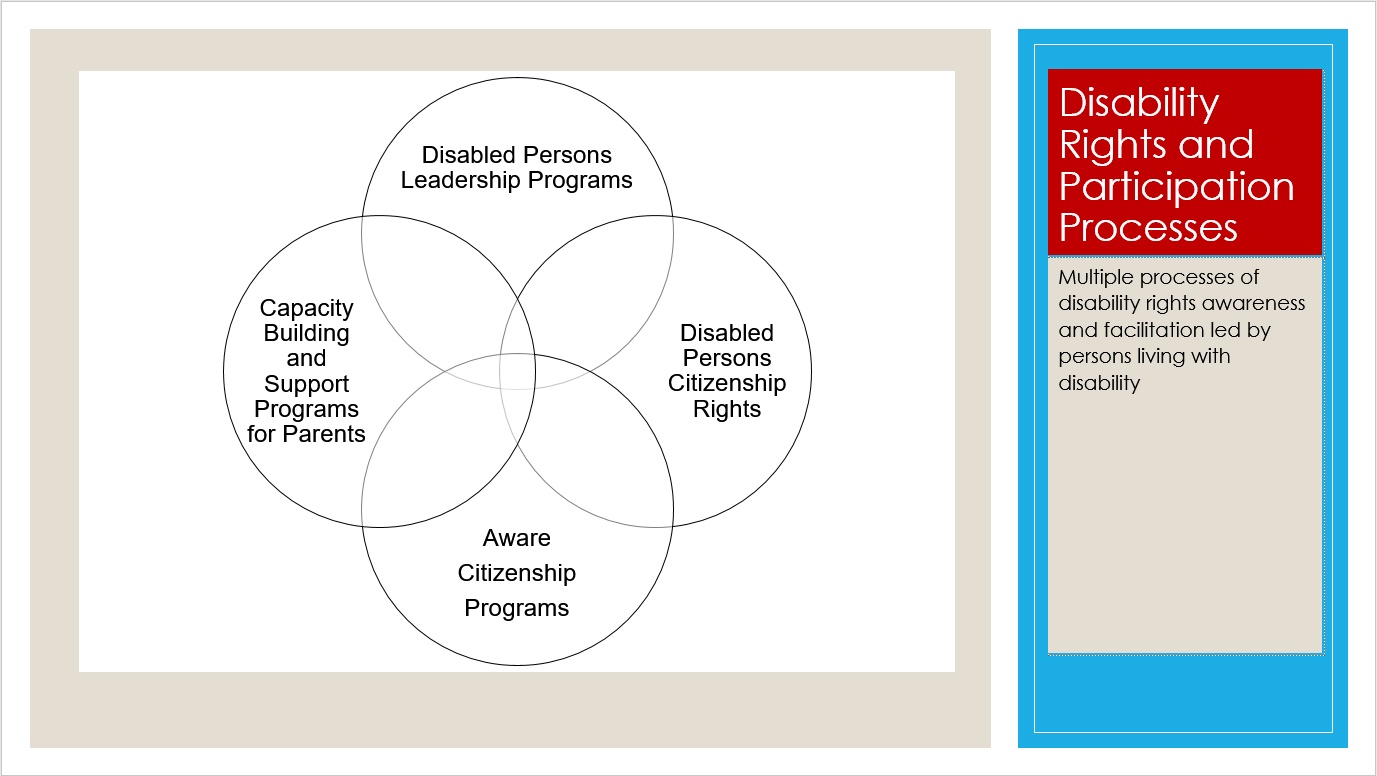 Current Focus Graphic Disability Rights And Participation - Diagram - HD Wallpaper 