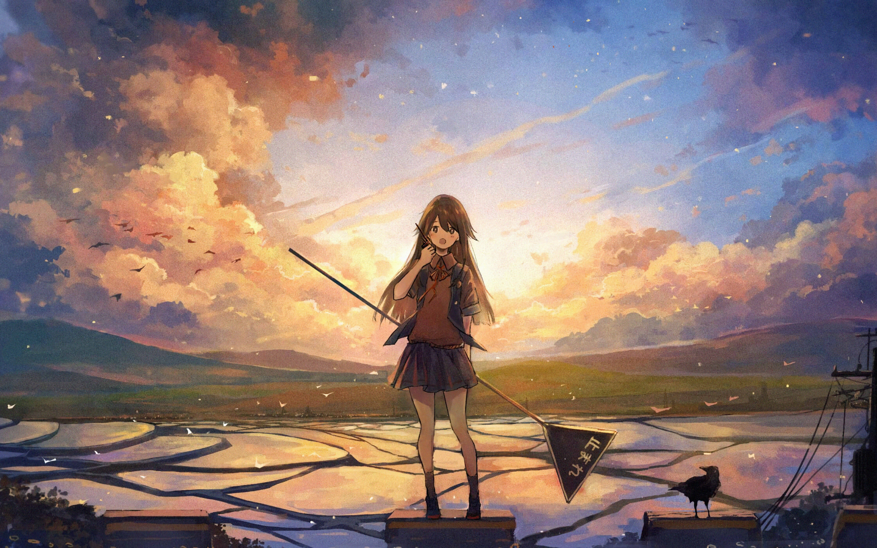 Wallpaper - HD Wallpaper 