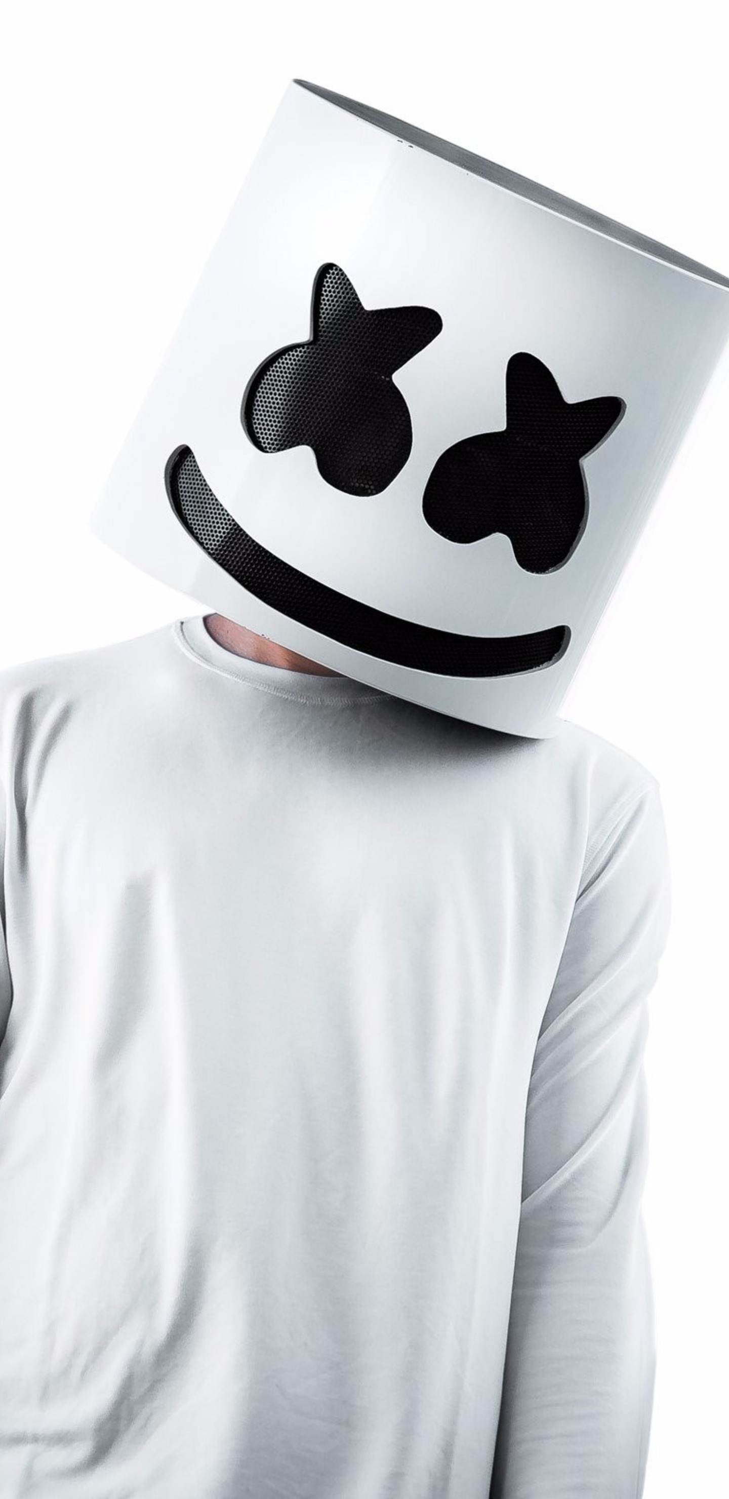 Black Cat - HD Wallpaper 