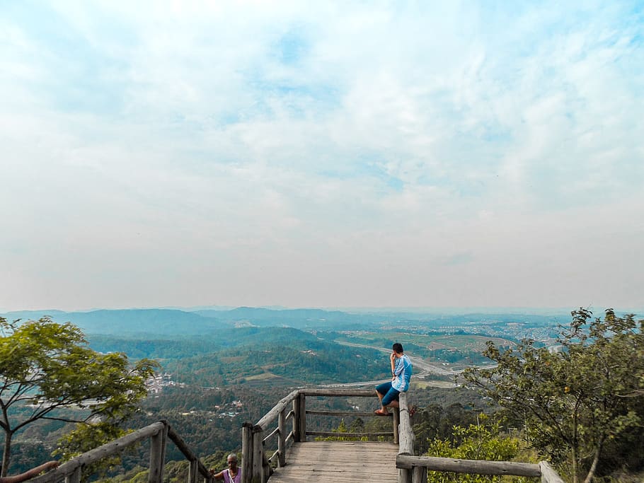 Brazil, Pico Do Jaraguá, Belvederes, Mirante, Jaragua, - Tree - HD Wallpaper 