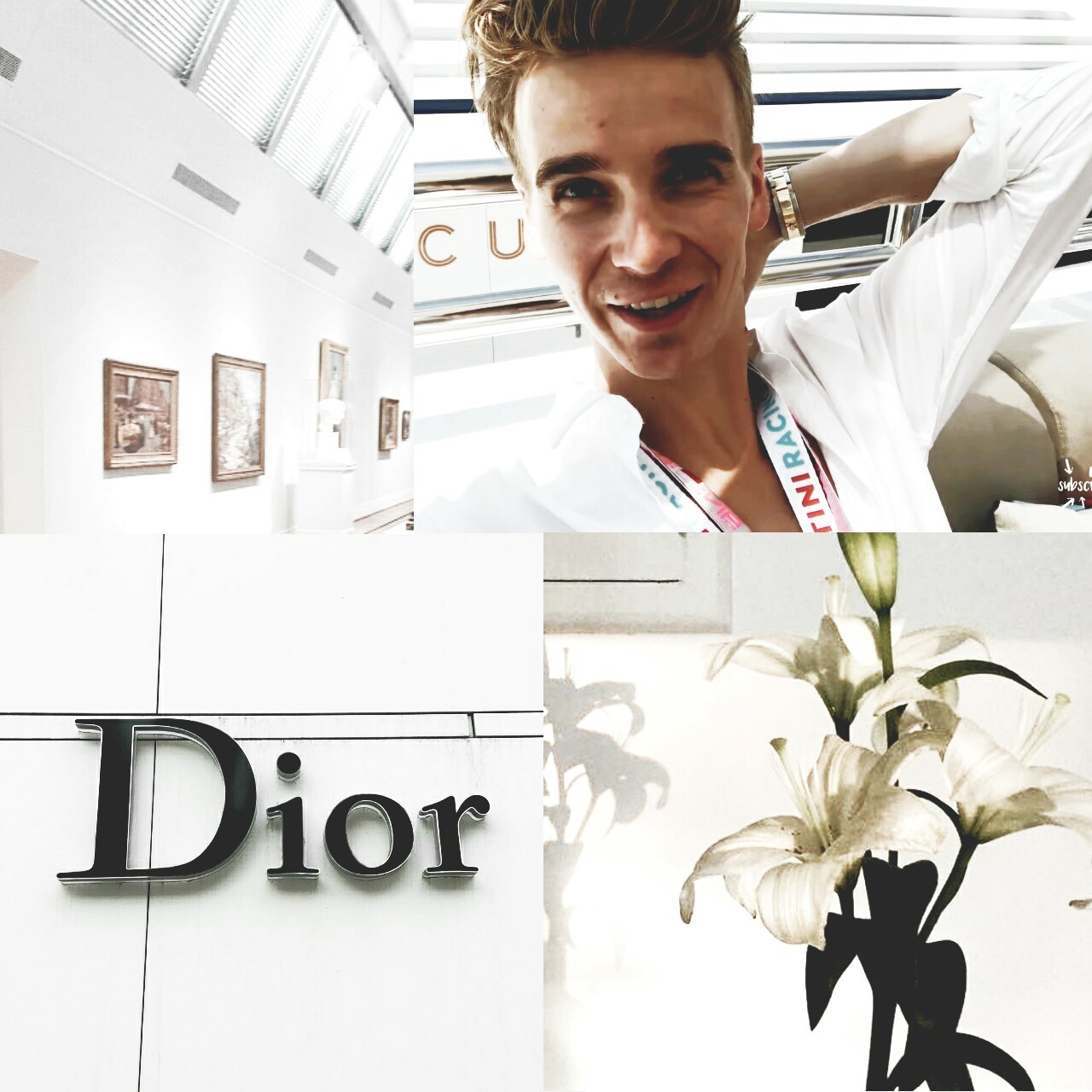 Poinsettia - 1280x1280 Wallpaper - teahub.io