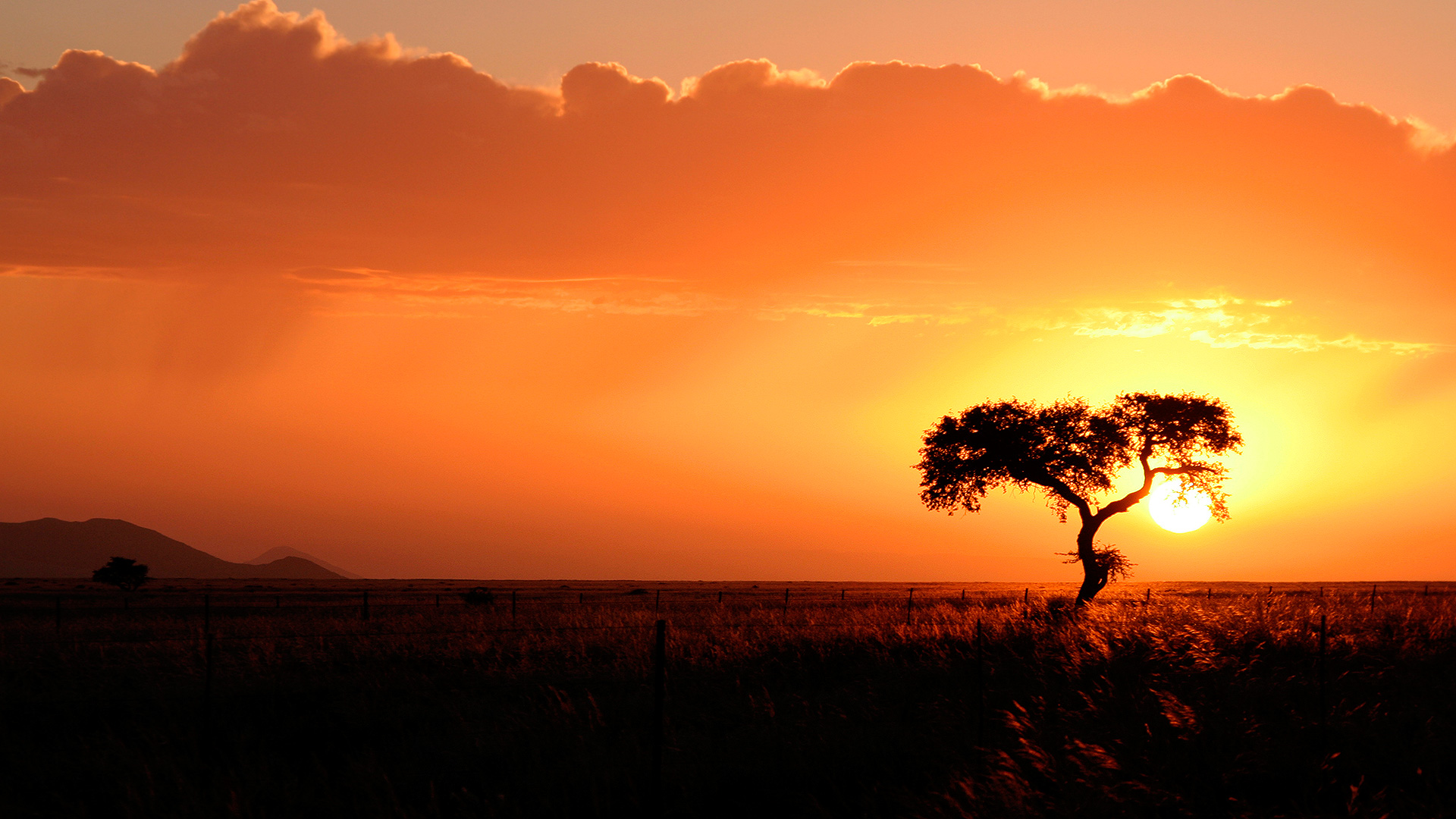 Sunset - HD Wallpaper 