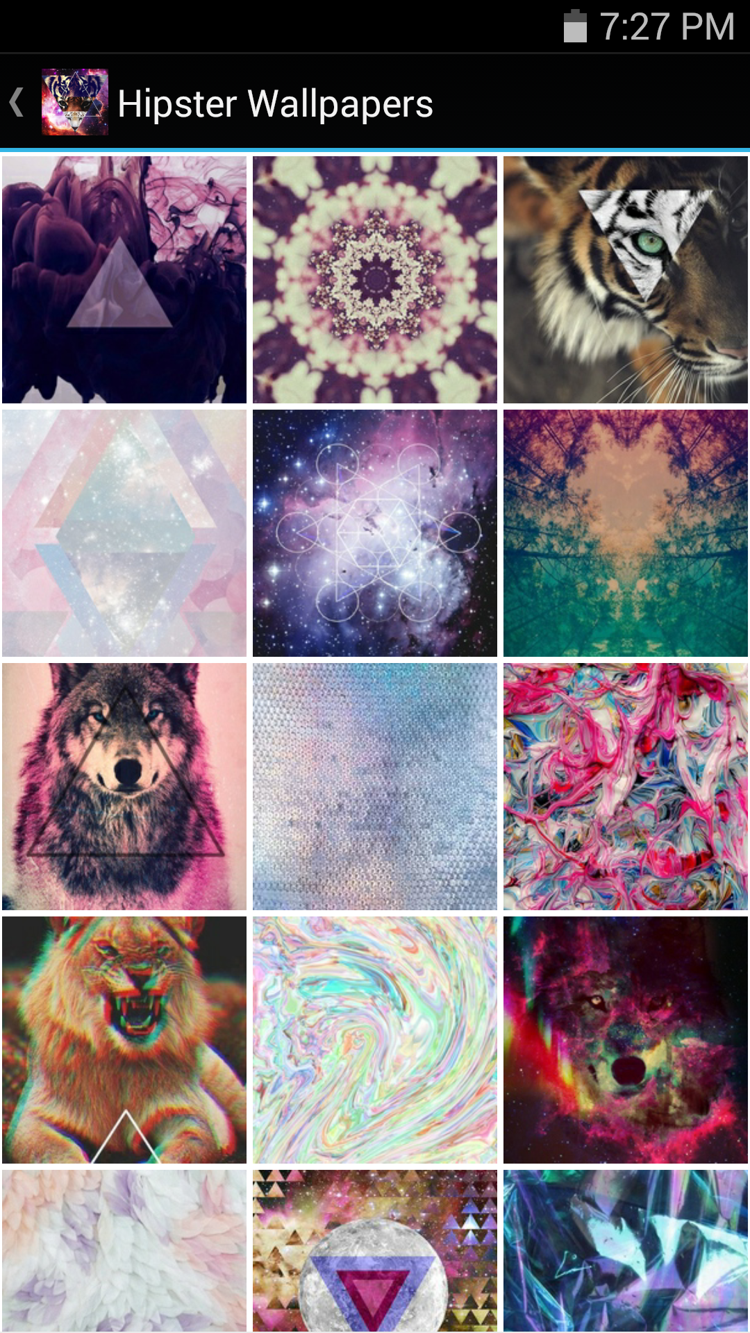 Collage - HD Wallpaper 