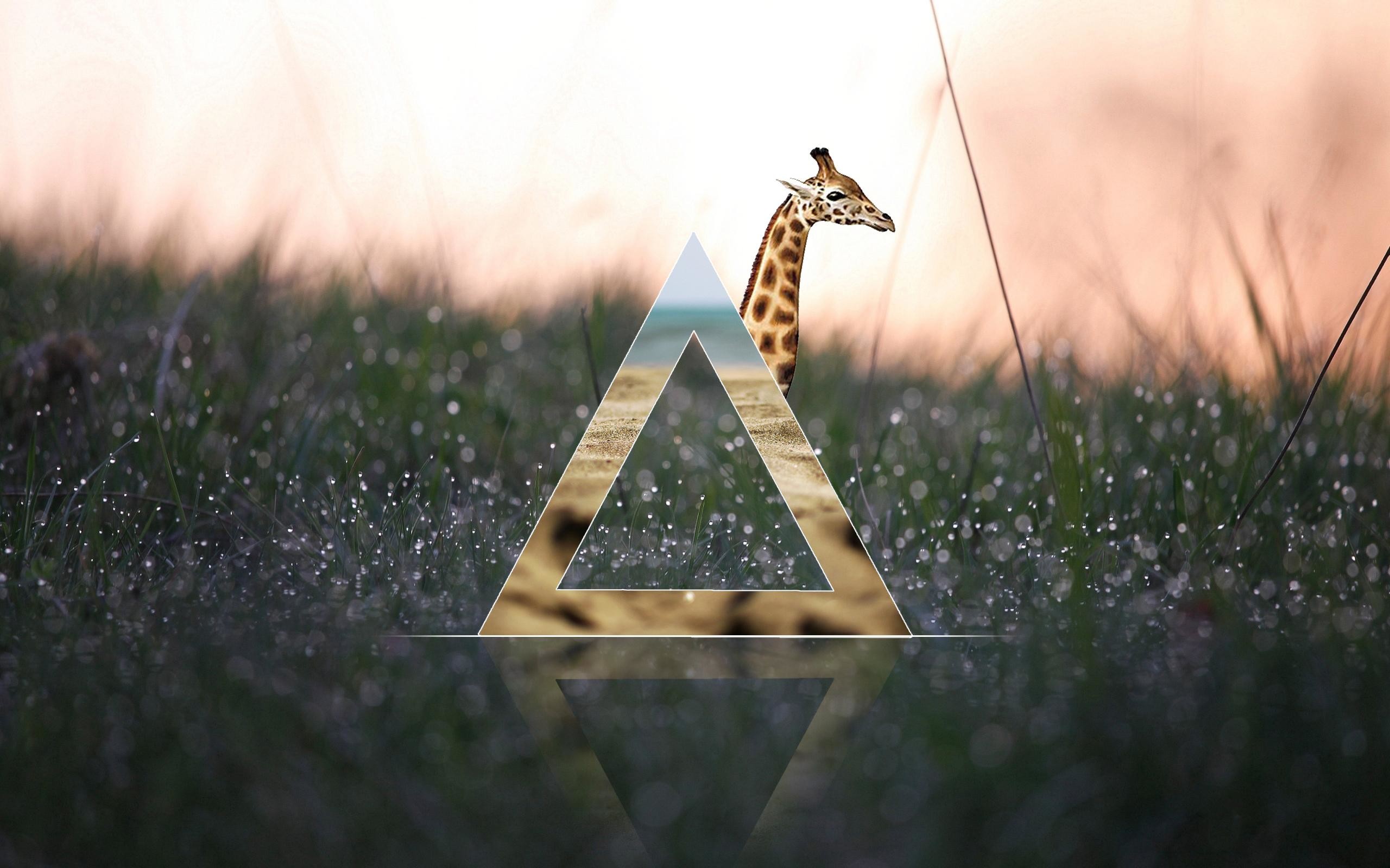 Hipster Wallpaper Phone - Desktop Wallpaper Hipster - HD Wallpaper 