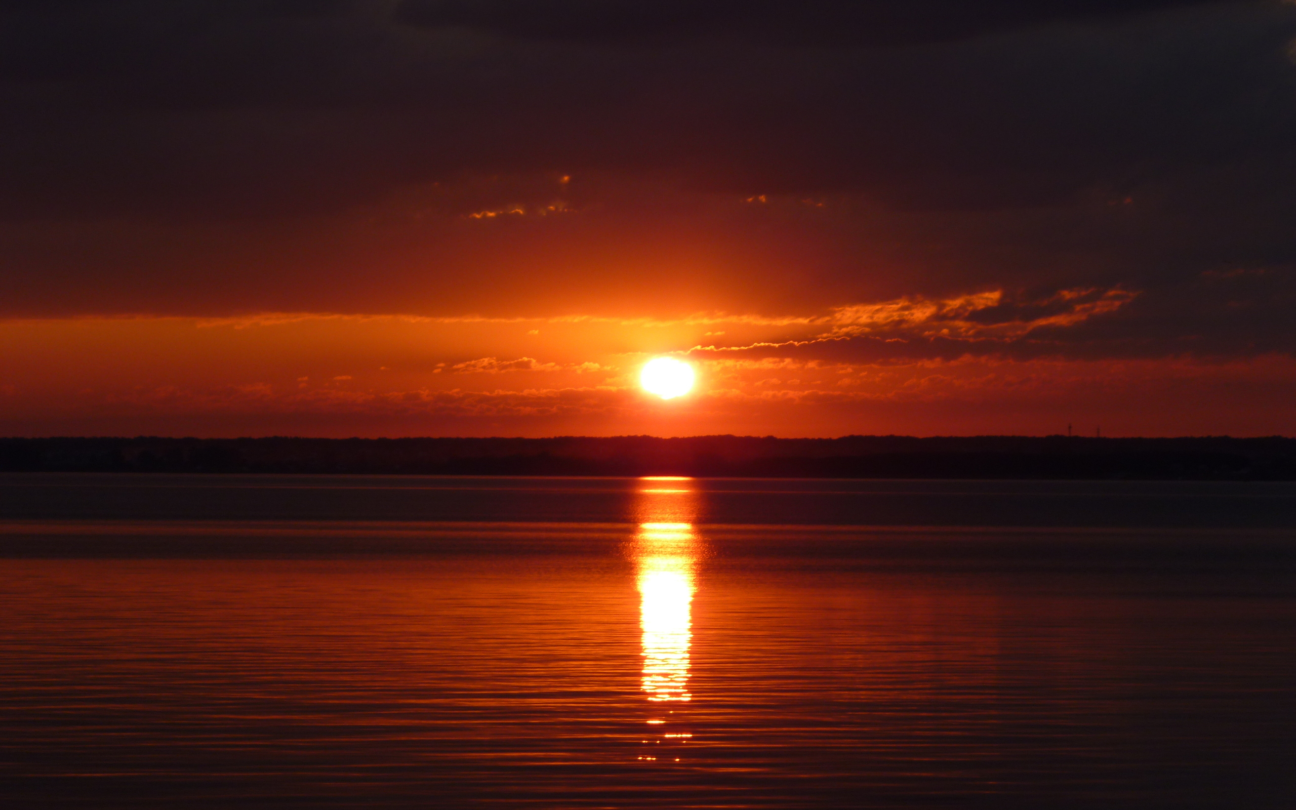 Papel De Parede Amazonica - HD Wallpaper 