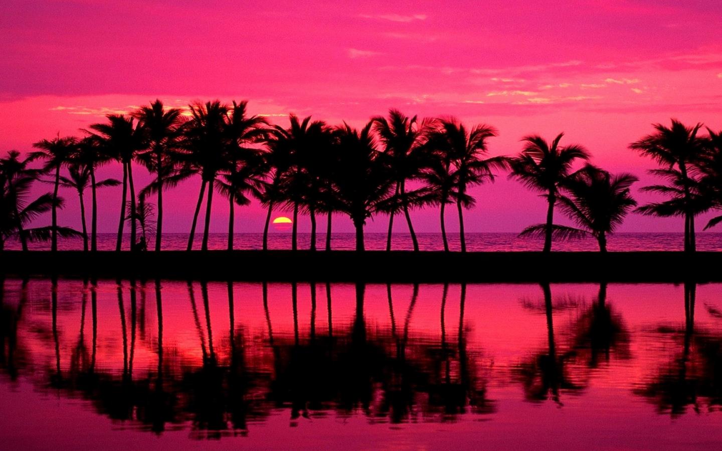 Beautiful Pink Beach Sunset - Iphone Fondos De Pantalla Hd - HD Wallpaper 