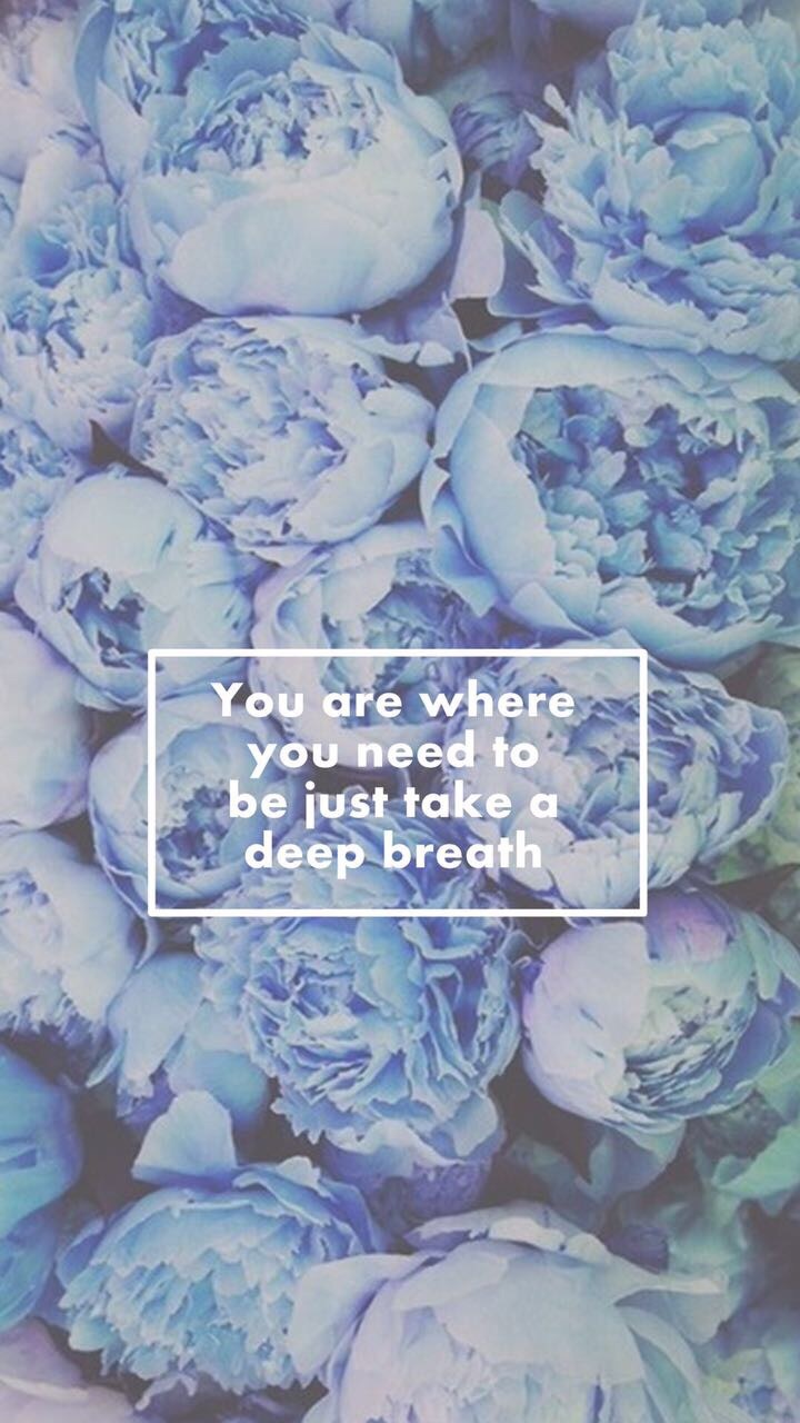 Quotes, Wallpaper, And Lana Parrilla Image - Roses Lockscreen With A Quote - HD Wallpaper 