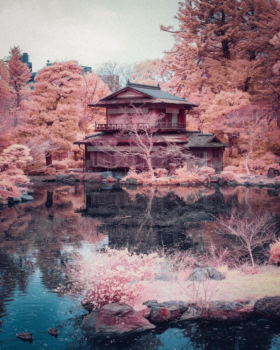 Owsla Kyoto 960x10 Wallpaper Teahub Io Owsla Kyoto 960x10 Wallpaper Teahub Io