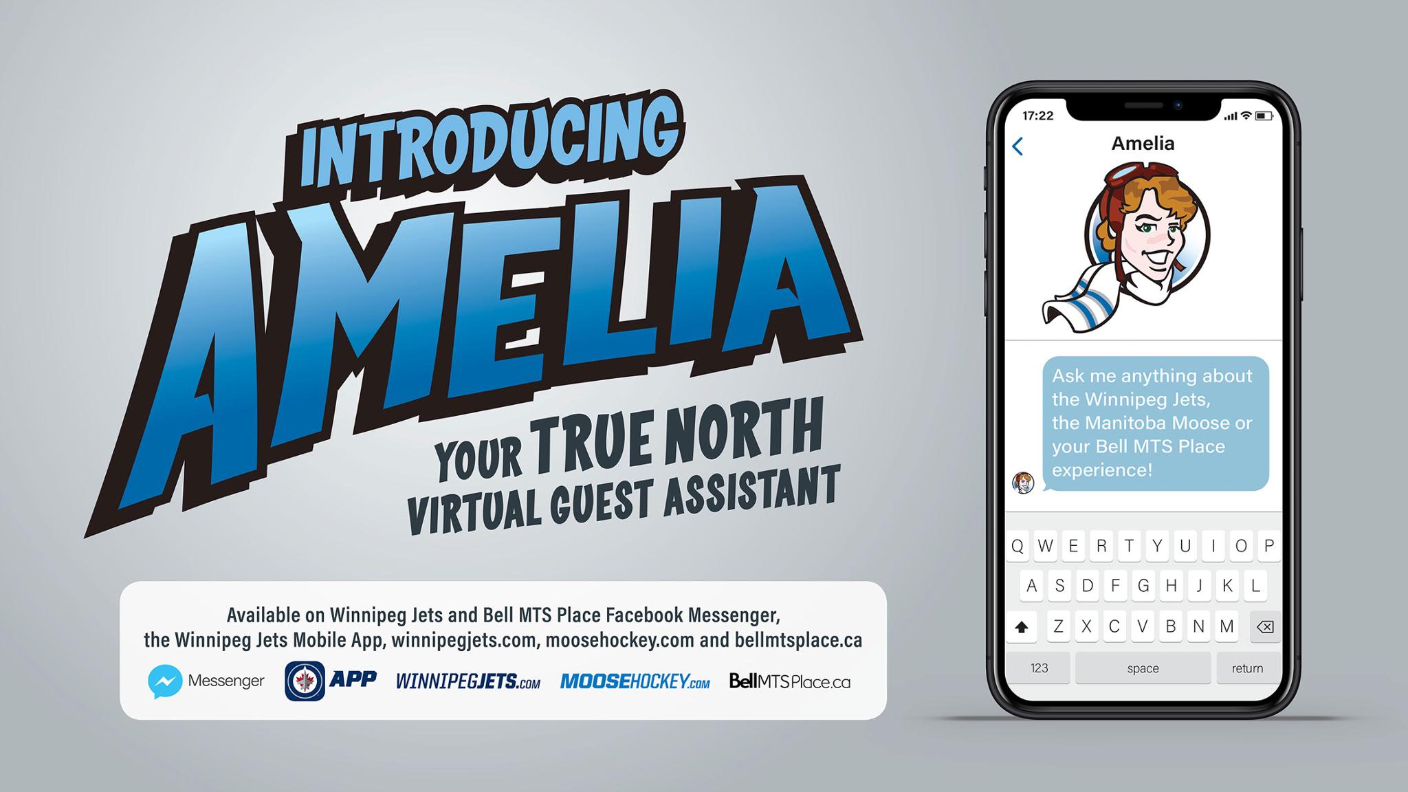 Ask Amelia - Tech - Jets - Nhl - Mobile Phone - HD Wallpaper 