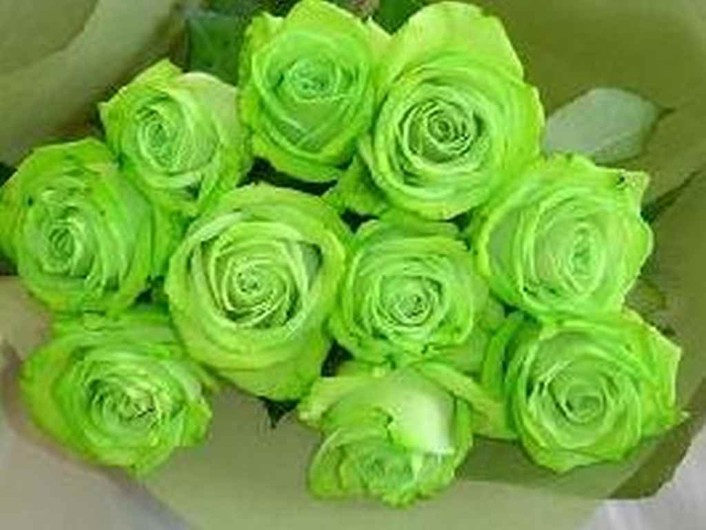 Green Rose Flower Bouquet - HD Wallpaper 