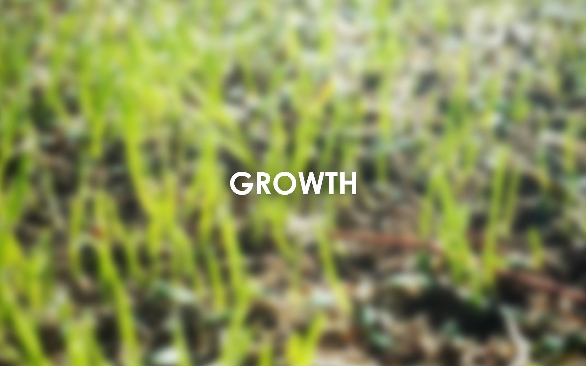 Abc Wallpaper Growth 
 Data Src Most Popular Abc Wallpapers - Grass - HD Wallpaper 