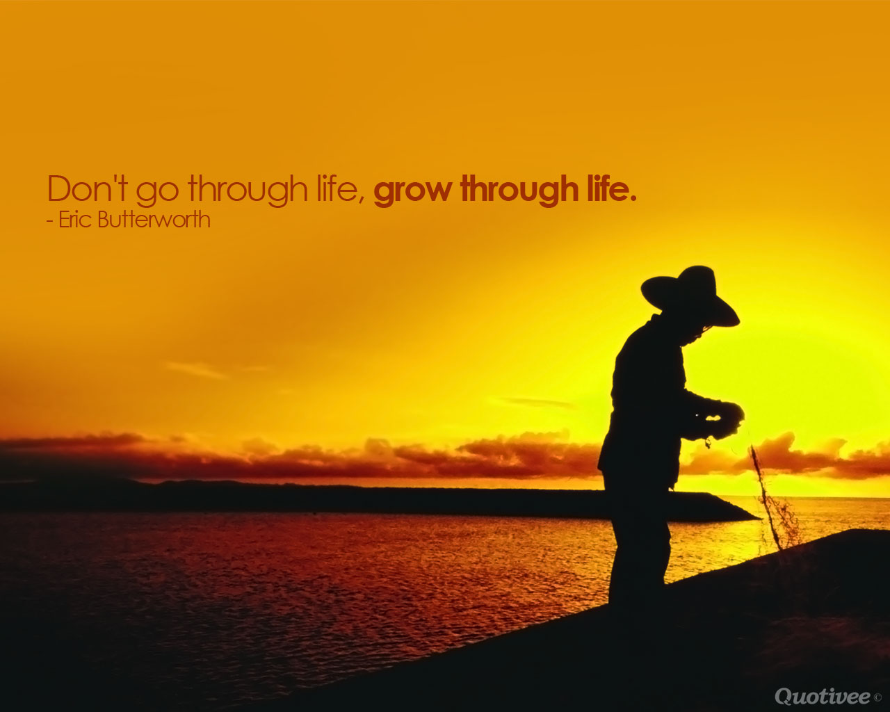 Dont Get Go Through Life Grow Through Life - HD Wallpaper 