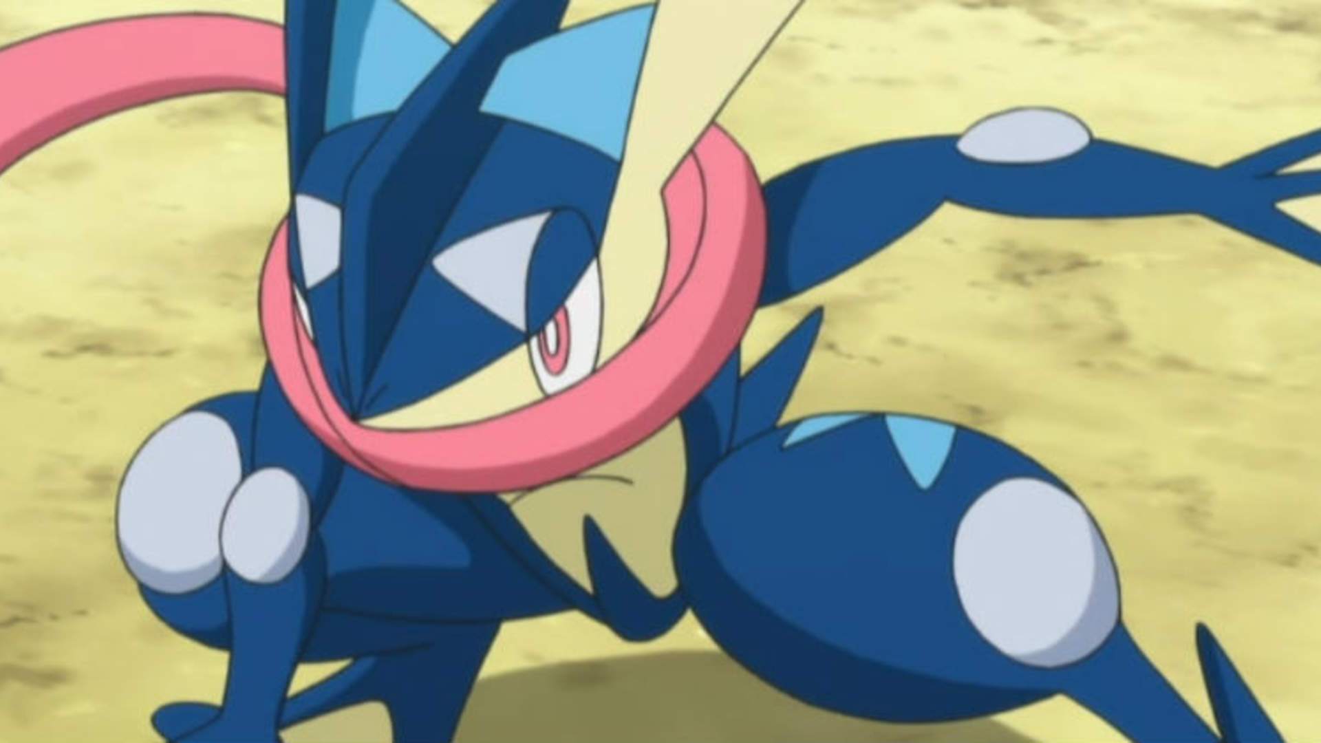 Water Pokemon - HD Wallpaper 