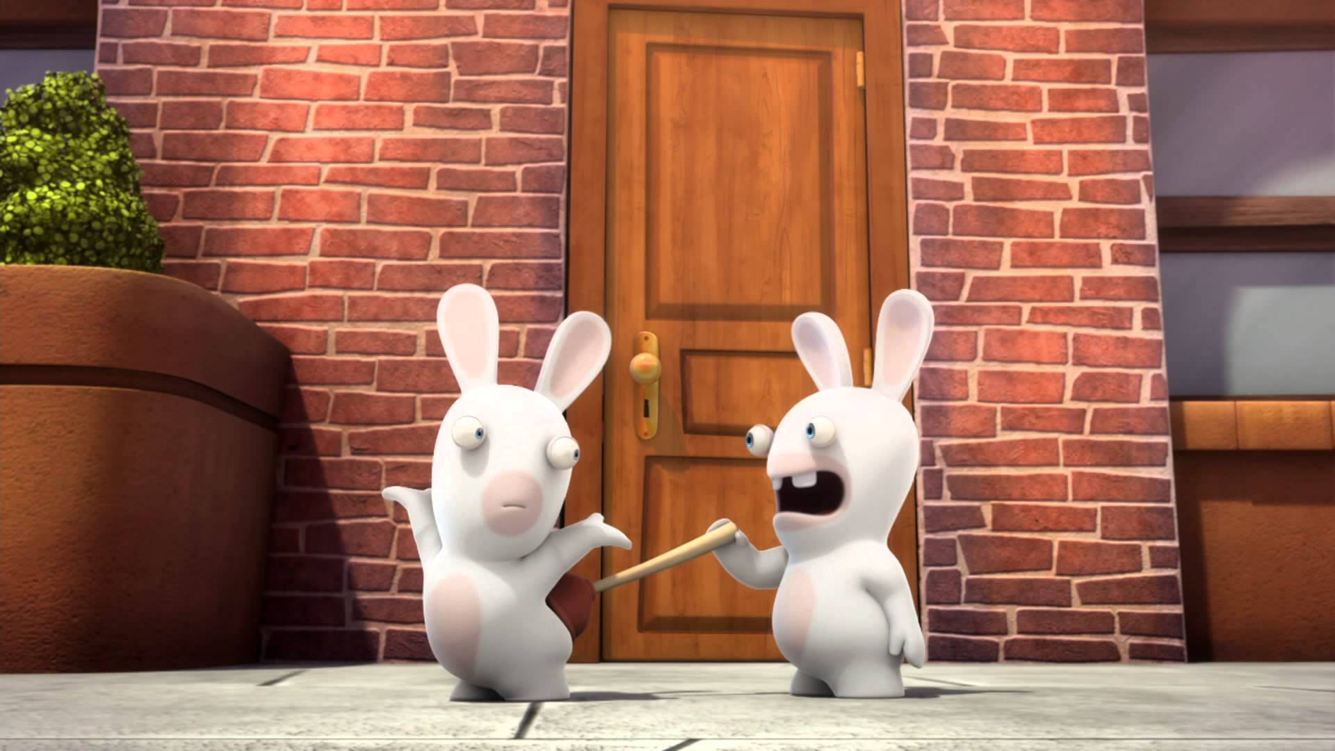 Domestic Rabbit - HD Wallpaper 