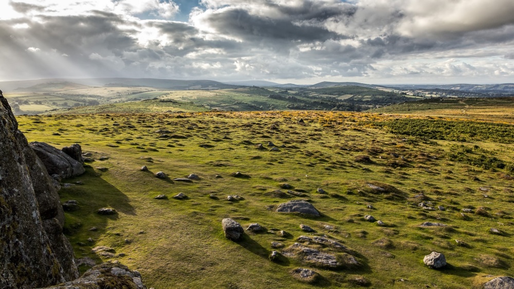 Hay Tor, Dartmoor National Park - Grass - HD Wallpaper 