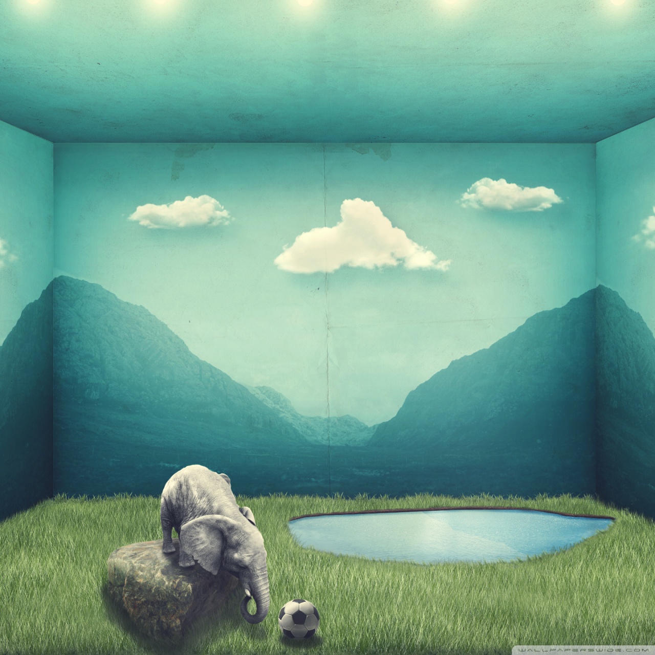 Tablet Computer - HD Wallpaper 