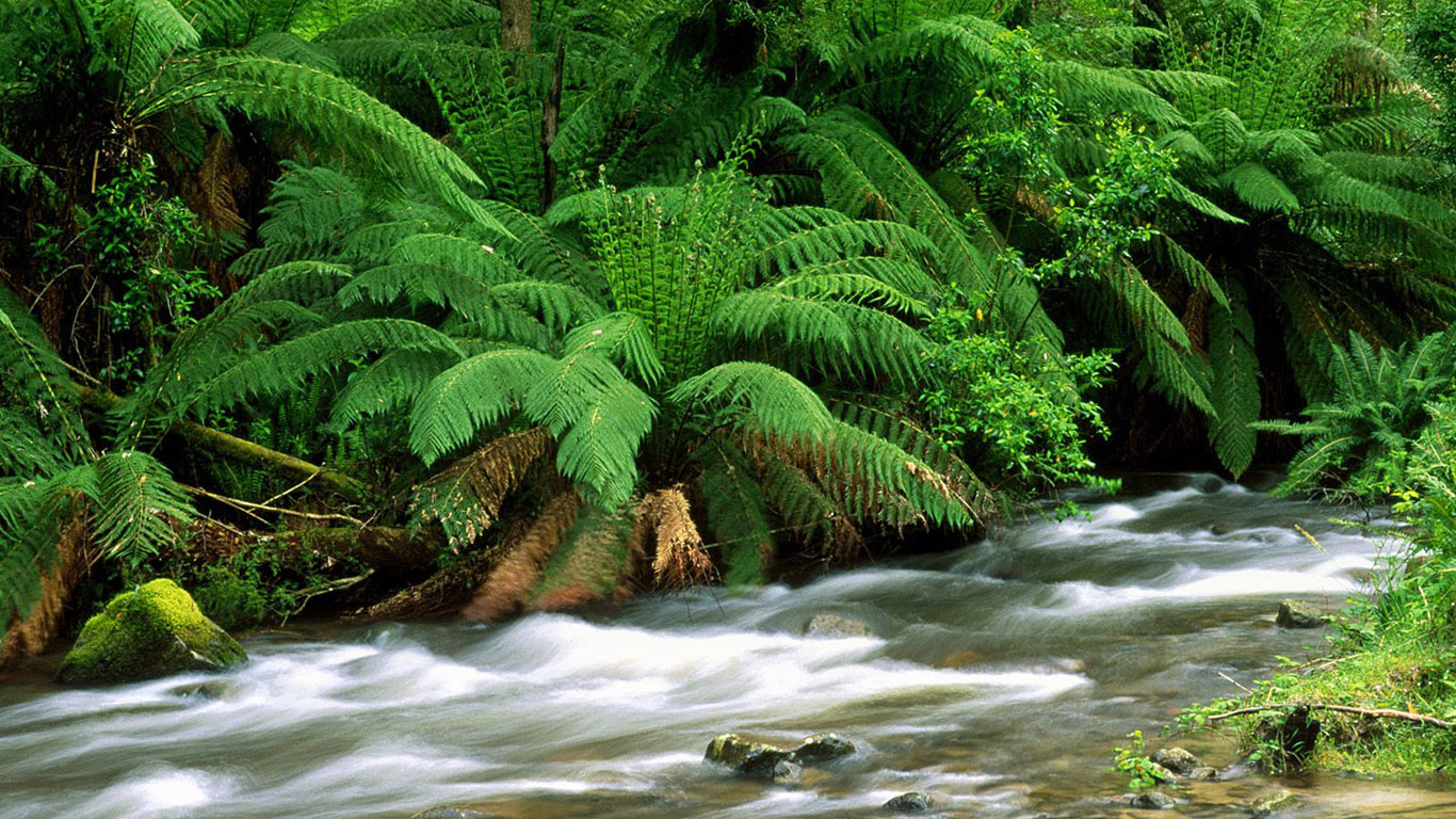 Beautiful Nature Wallpaper High Resolution - High Quality Natural Images Download - HD Wallpaper 