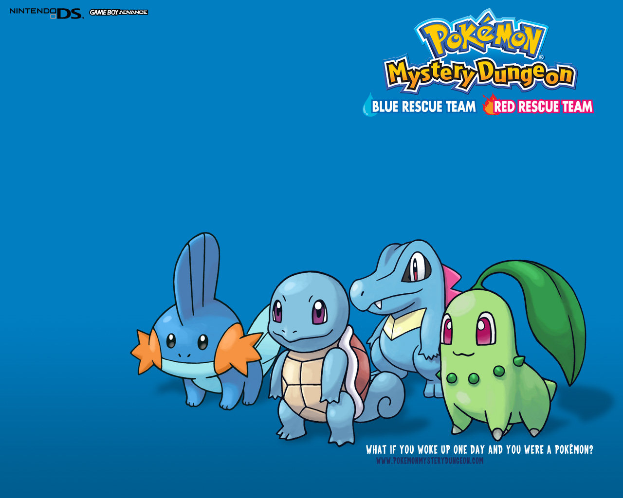 Free Blue Pokemon Wallpaper - Pokemon Mystery Dungeon - HD Wallpaper 