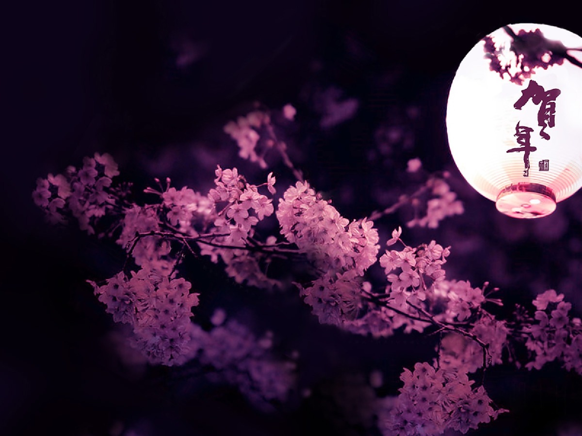 Cherry Blossom Desktop Wallpaper Black - HD Wallpaper 