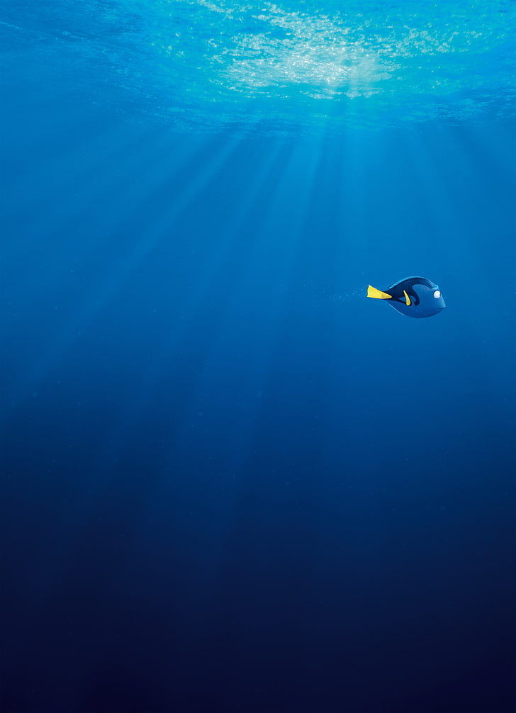 Finding Dory 4k Screen Download, Underwater, Animal - Disney Up Wallpaper Iphone - HD Wallpaper 