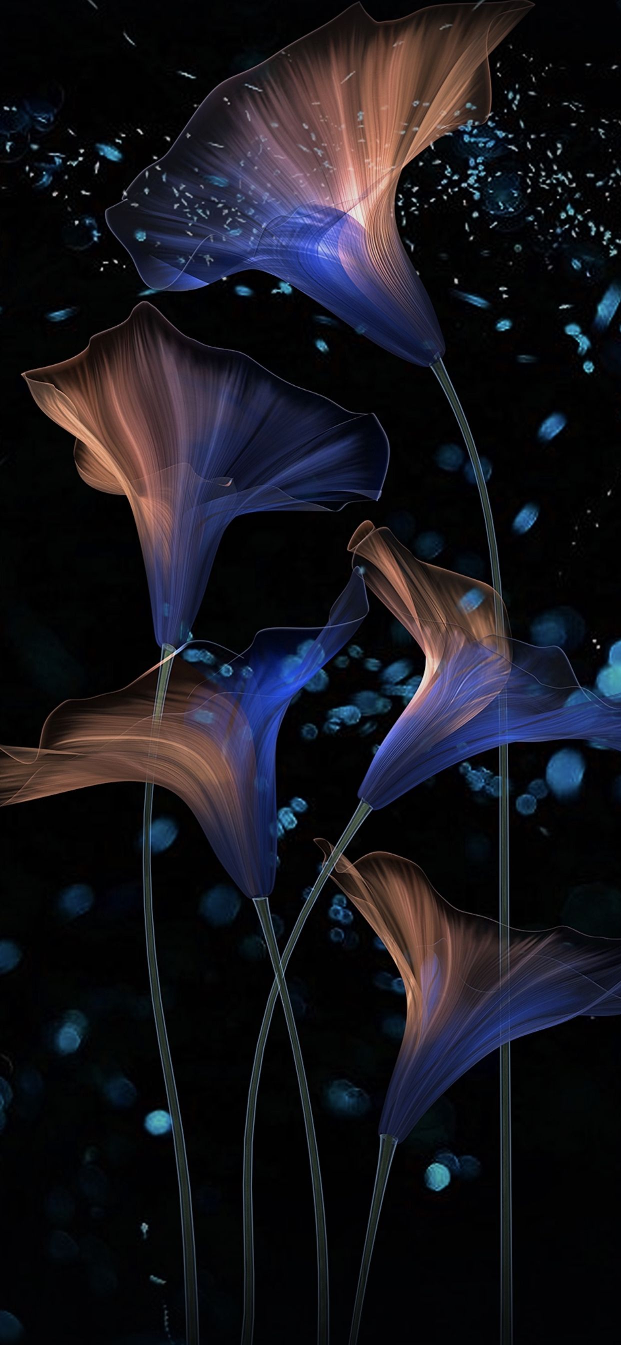 Papel De Paredes Do Honor Magic 2 Em Alta Qualidade - HD Wallpaper 