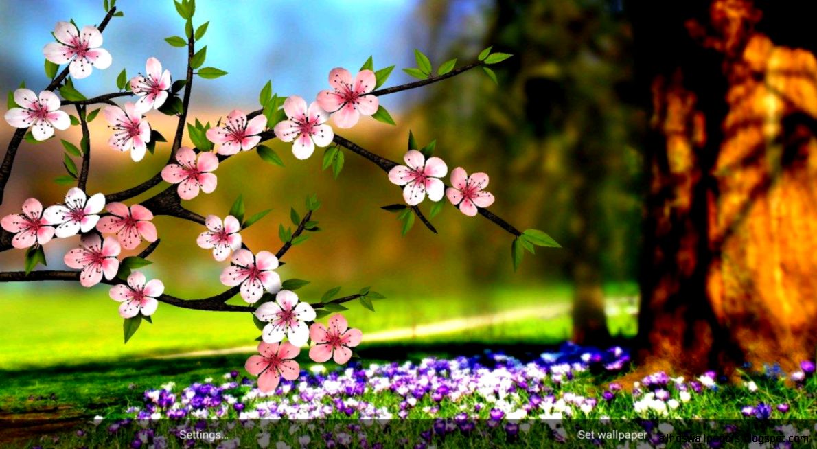 Heres One More Beautiful Live Wallpaper With A Spring - Flower Wallpaper Hd - HD Wallpaper 