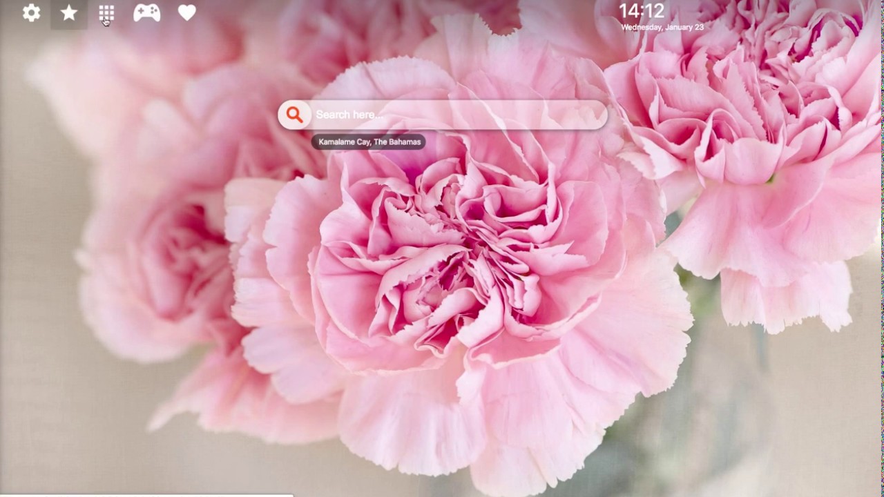 Kwiat Z Papieru Toaletowego - HD Wallpaper 