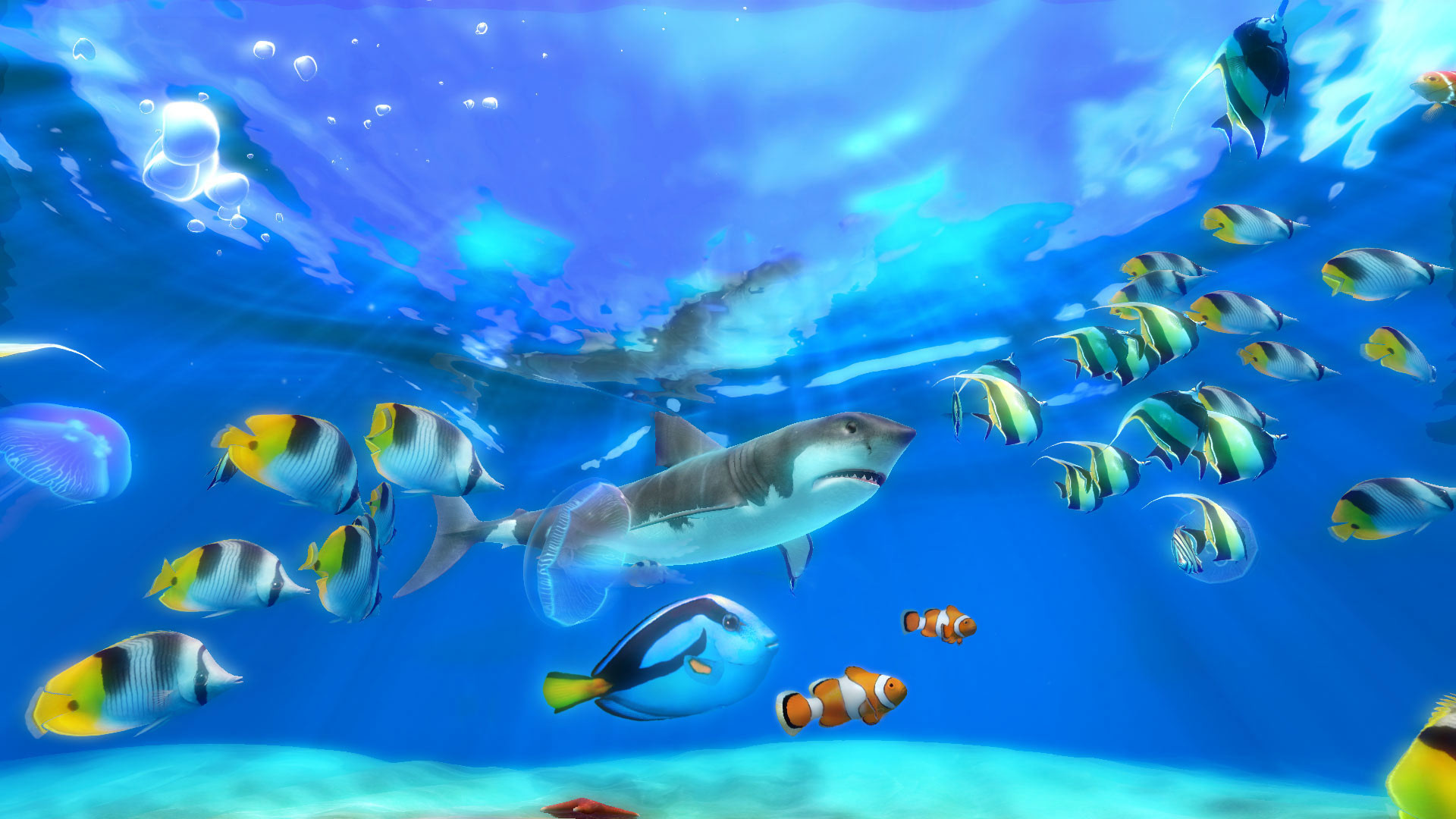 Live Wallpaper Windows 10 Fish - Live Aquarium Screensaver Windows 10 -  1920x1080 Wallpaper 