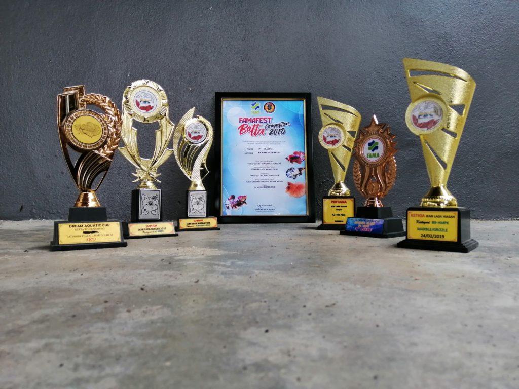 Trophy - HD Wallpaper 