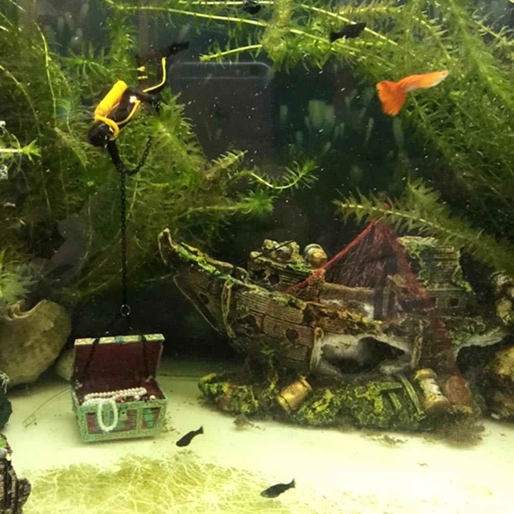 Acquario Barca Affondata - HD Wallpaper 