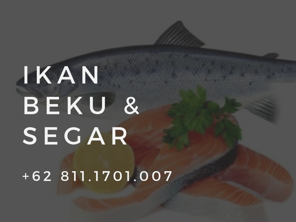 Trout - HD Wallpaper 