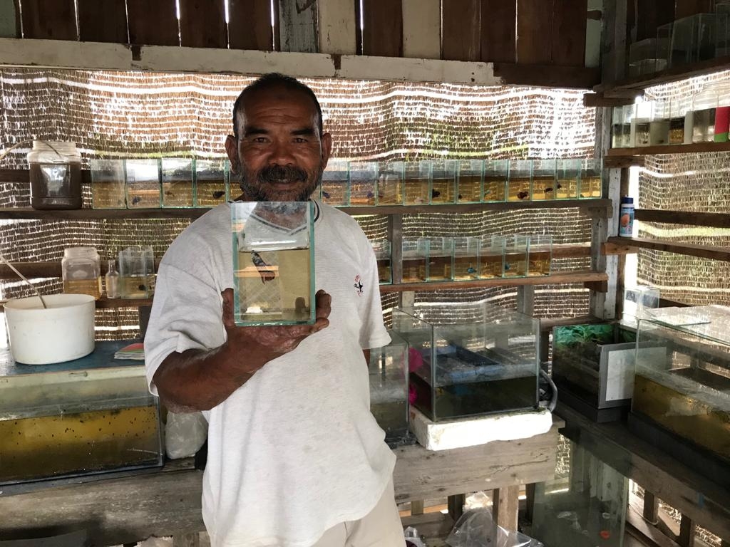 Drink - HD Wallpaper 