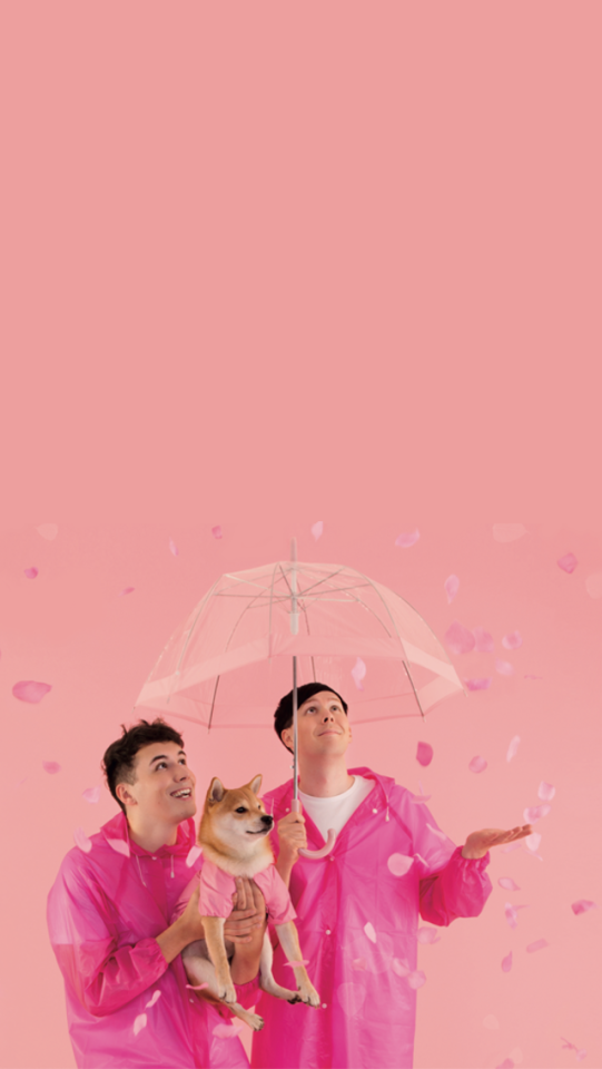 Dan And Phil Calendar 2019 - HD Wallpaper 