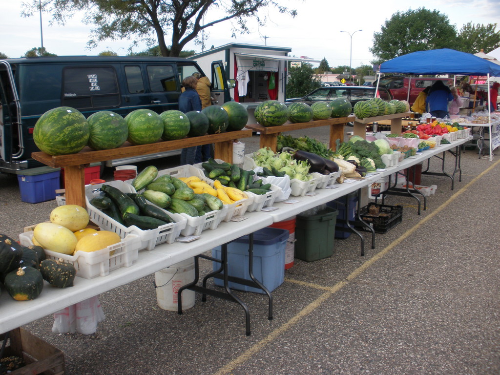 Cucumber - HD Wallpaper 